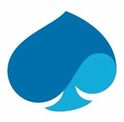 Capgemini